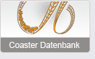 Roller Coaster DataBase