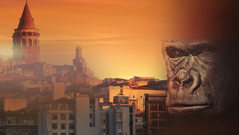 King Kong in Istanbul: Das Vialand macht's möglich!