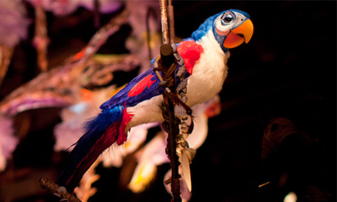 Das Markenzeichen des Tiki Rooms: die singenden Animatronic-Vögel.