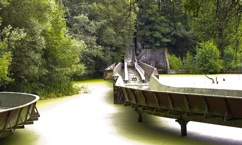 Die ehemalige Wasserbahn im Spreepark. Die alten Fahrgeschäfte sollen bis Ende April vom Gelände verschwinden.